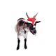 Illustration for article titled Have You Considered Feeding Your Christmas Tree to a Goat?